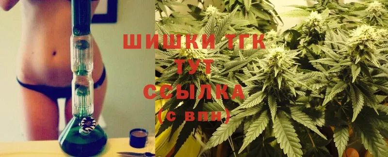 Конопля Ganja  Заполярный 